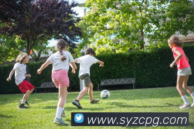 多媒体互动体验